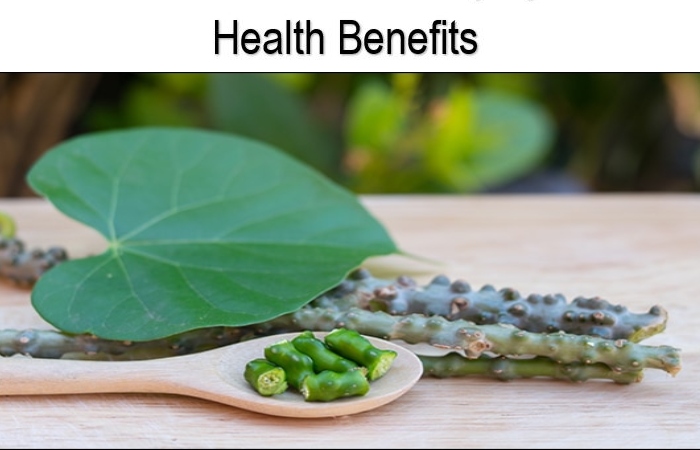 What is Tinospora Cordifolia? – Work, Health Benefits, and More